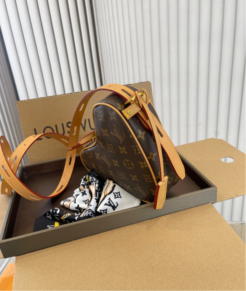 LV PURSE