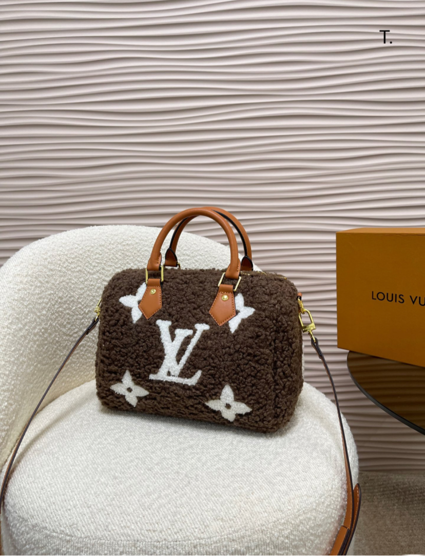 LV PURSE