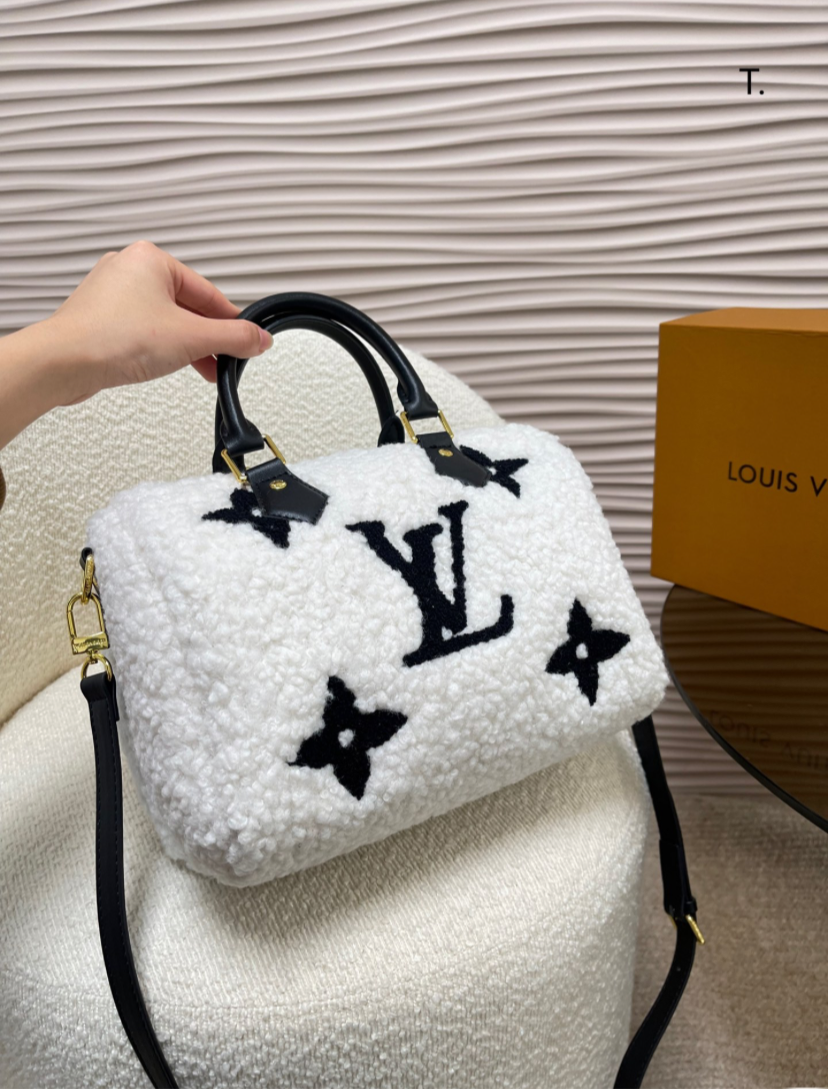 LV PURSE