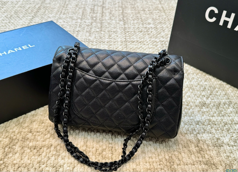 CHANEL PURSE