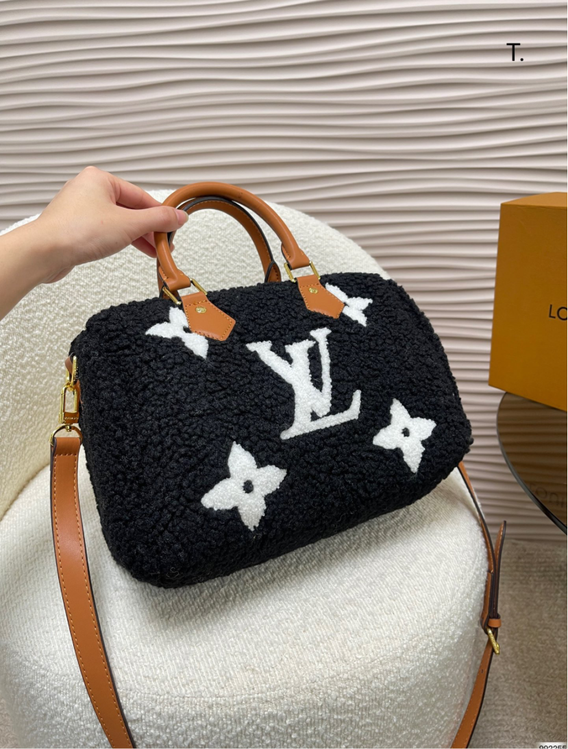 LV PURSE