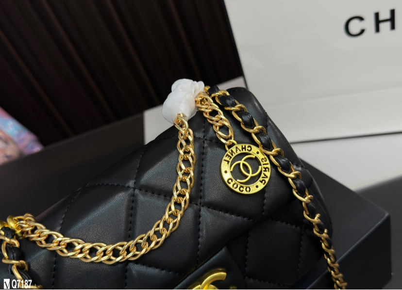 CHANEL PURSE LIMITED EDITION