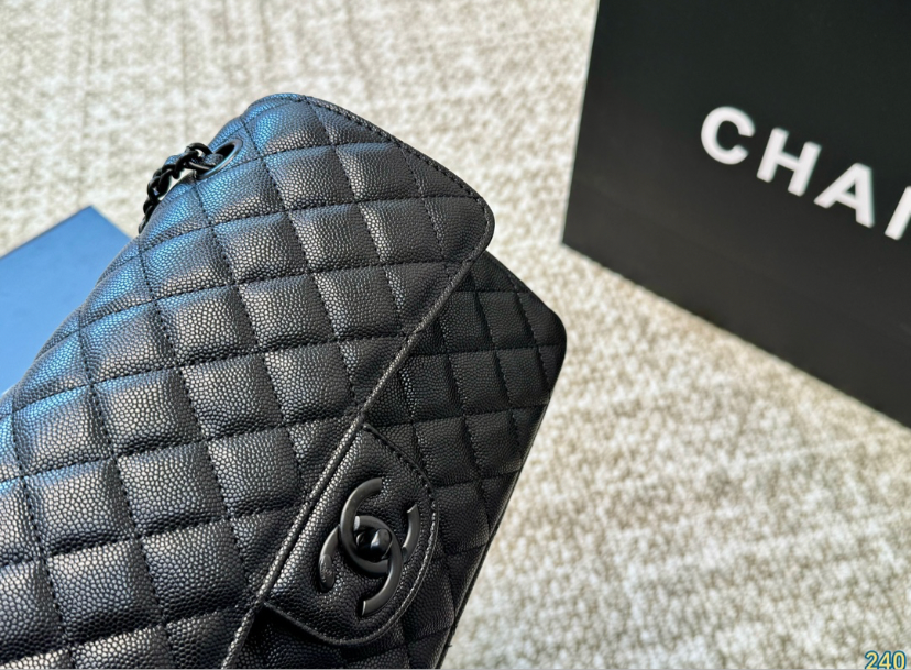 CHANEL PURSE