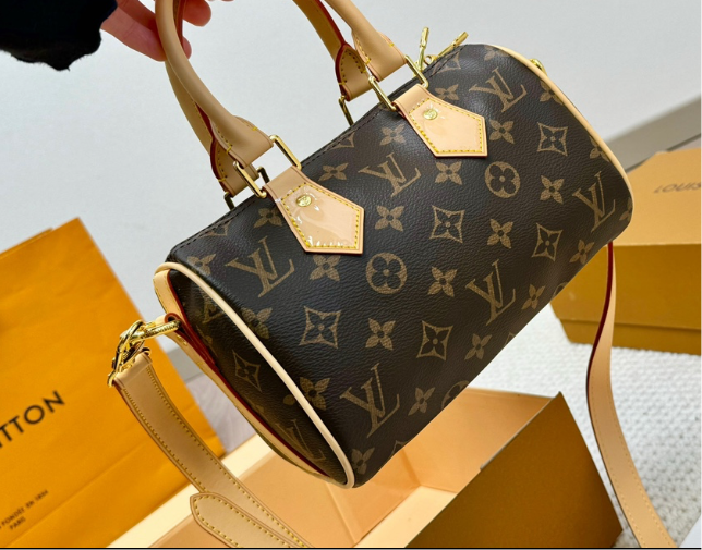 LV PURSE