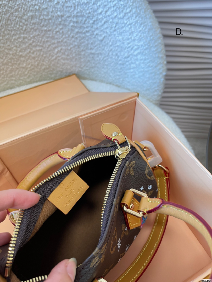 LV PURSE