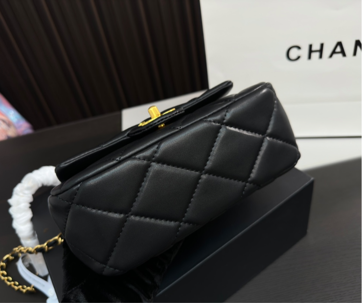 CHANEL PURSE LIMITED EDITION