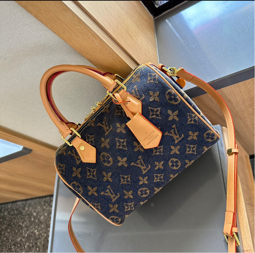 LV PURSE