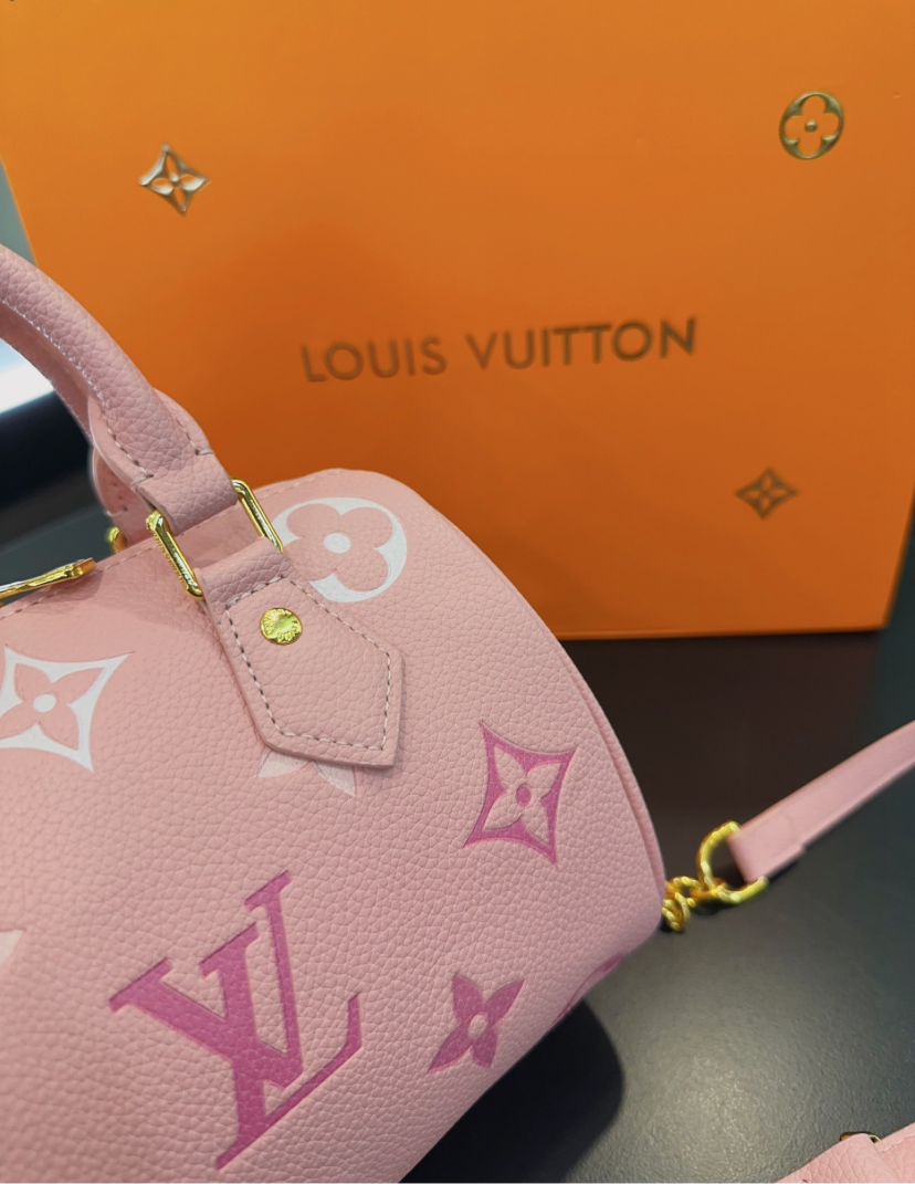 LV PURSE