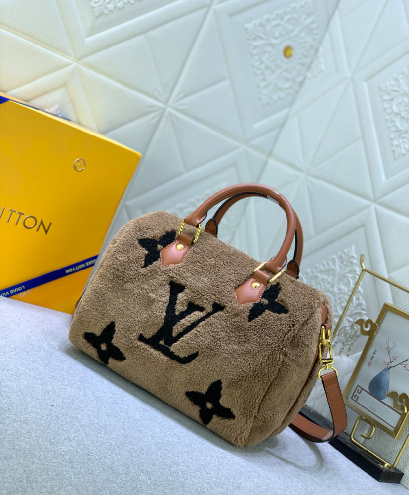 LV PURSE