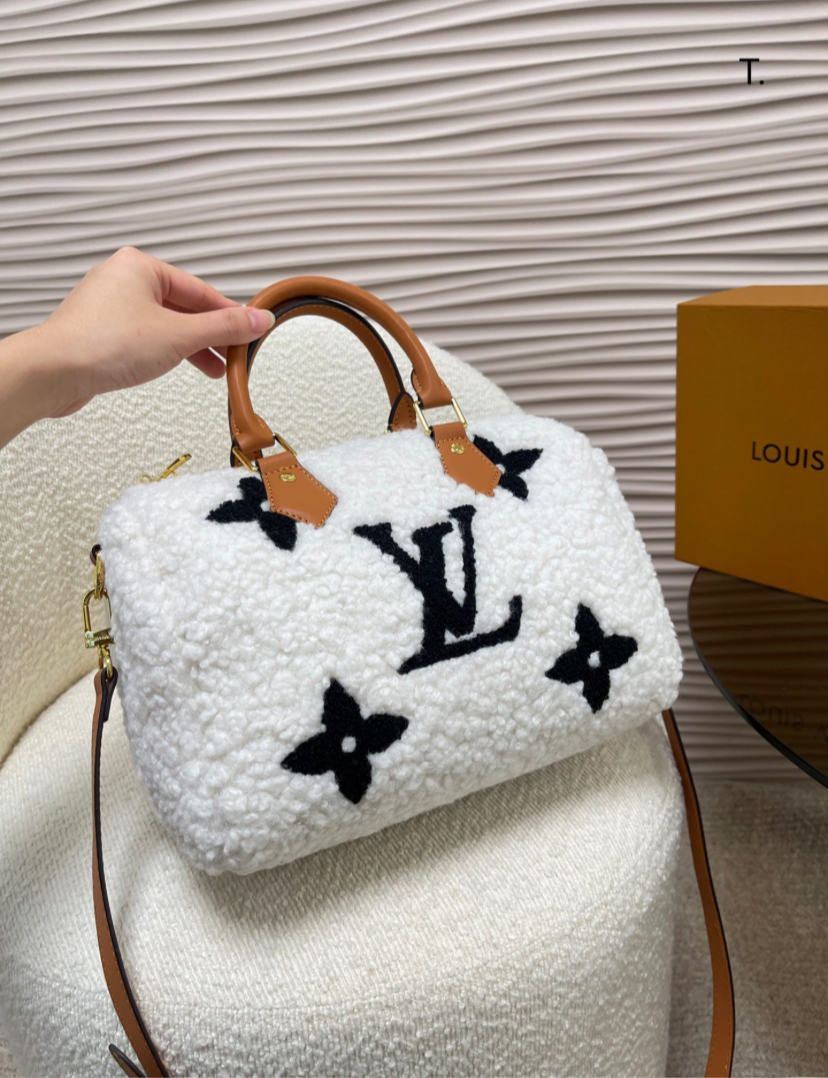 LV PURSE