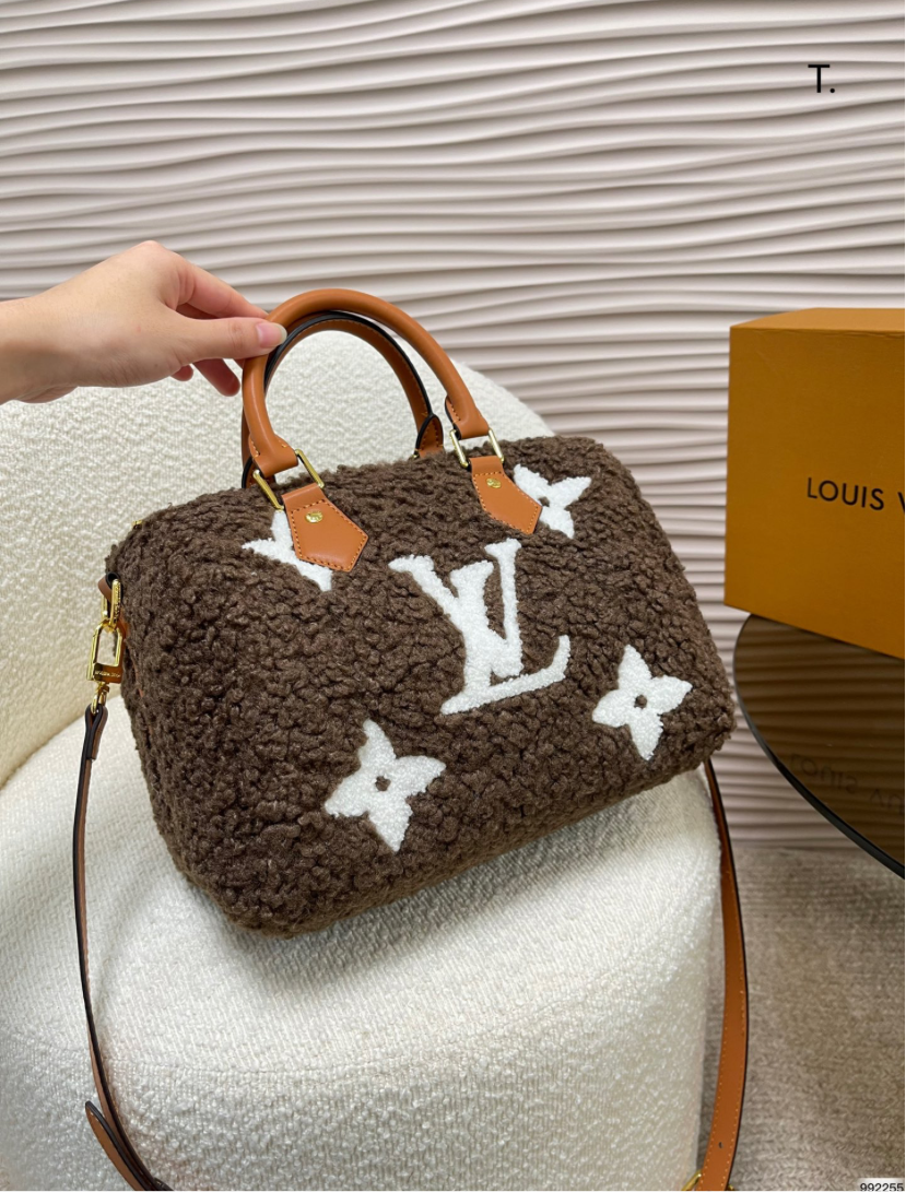 LV PURSE